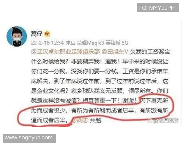 打击非法足球游戏的乱象与治理对策探讨