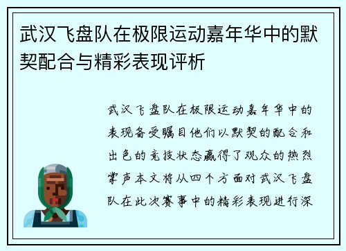 武汉飞盘队在极限运动嘉年华中的默契配合与精彩表现评析